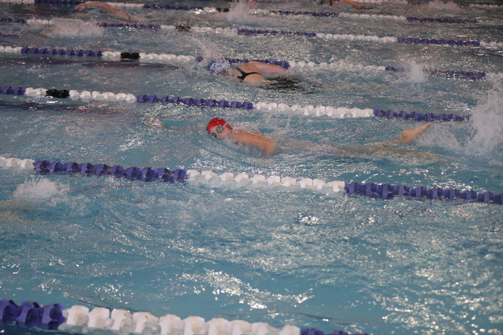 Cal swim meet